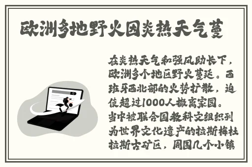 晚上一个人偷偷看的软件推荐的