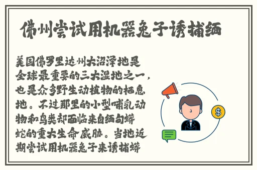 K迈开腿打扑克